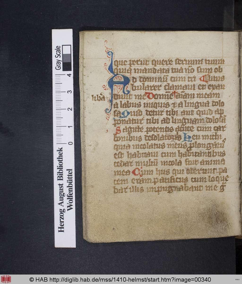 http://diglib.hab.de/mss/1410-helmst/00340.jpg