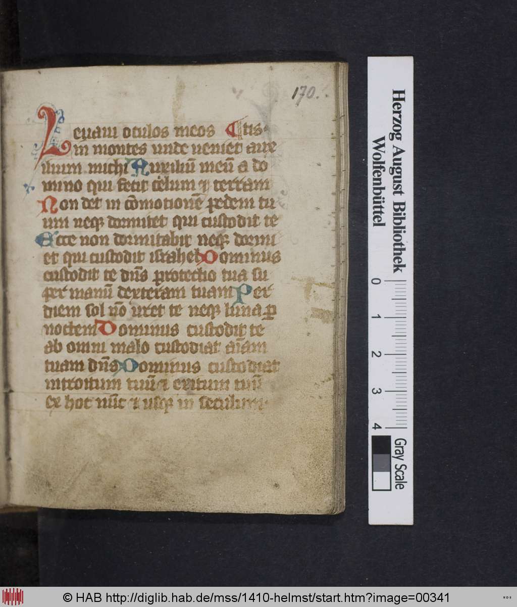 http://diglib.hab.de/mss/1410-helmst/00341.jpg