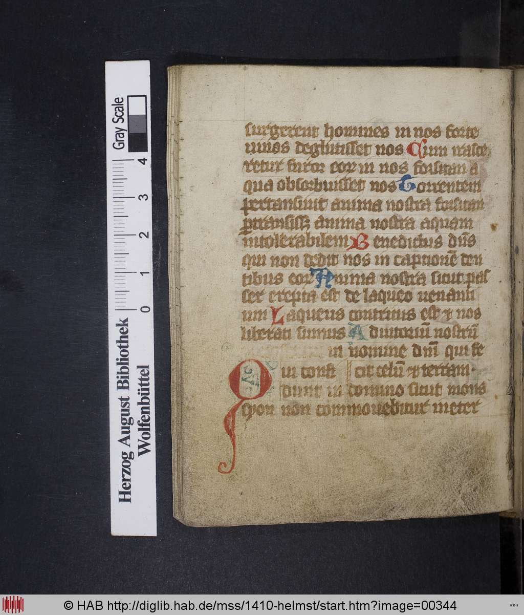 http://diglib.hab.de/mss/1410-helmst/00344.jpg