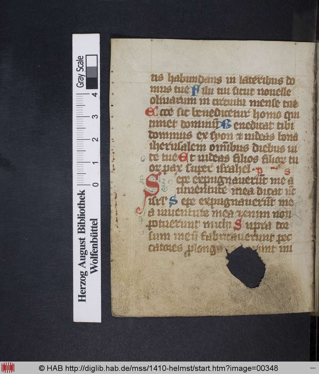 http://diglib.hab.de/mss/1410-helmst/00348.jpg