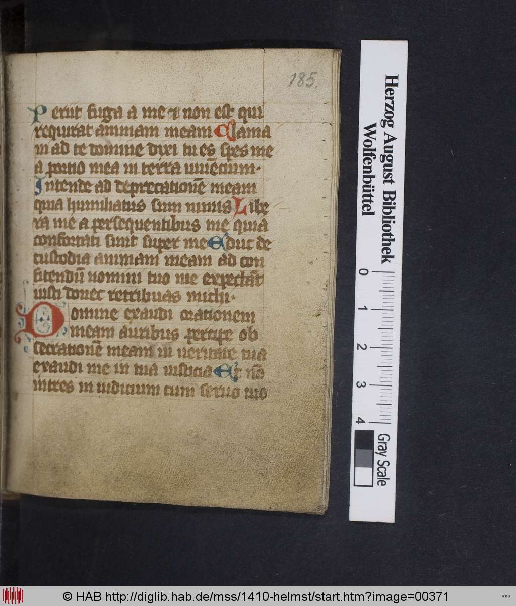 http://diglib.hab.de/mss/1410-helmst/00371.jpg