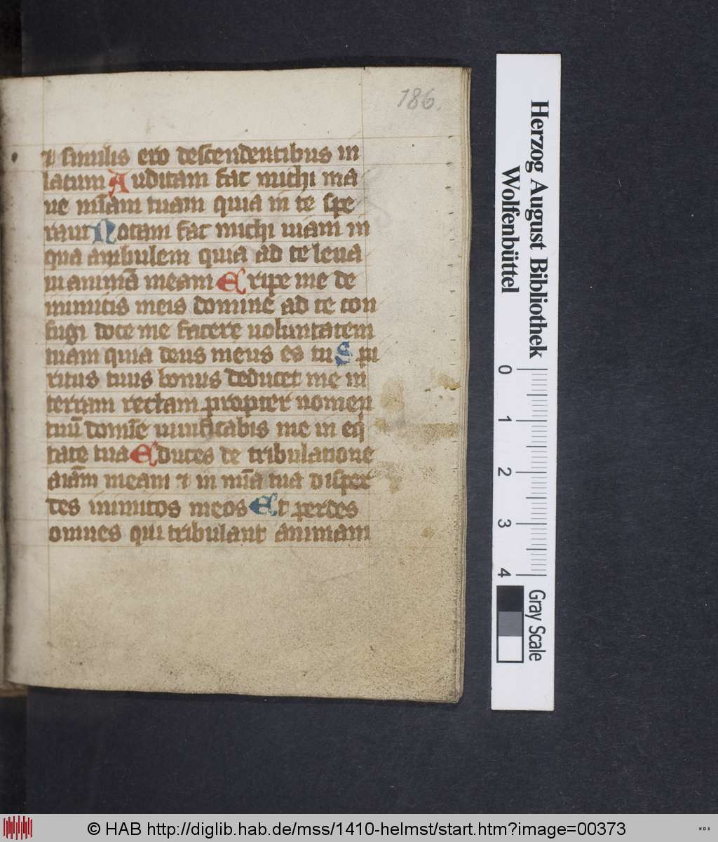 http://diglib.hab.de/mss/1410-helmst/00373.jpg