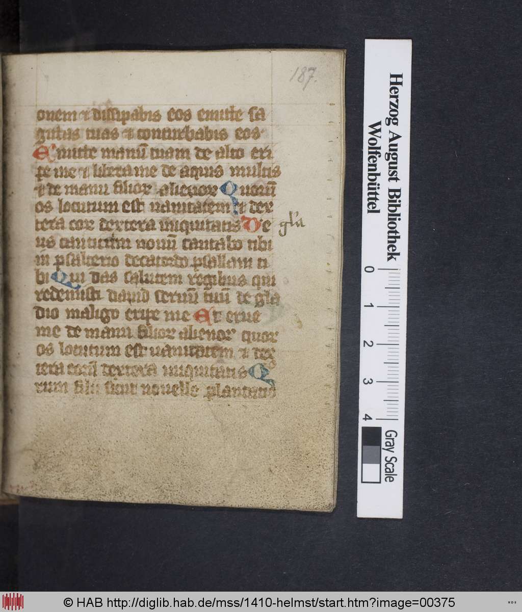 http://diglib.hab.de/mss/1410-helmst/00375.jpg