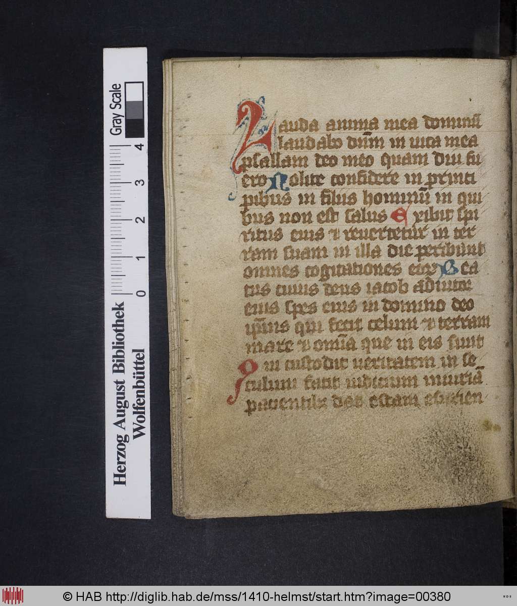 http://diglib.hab.de/mss/1410-helmst/00380.jpg