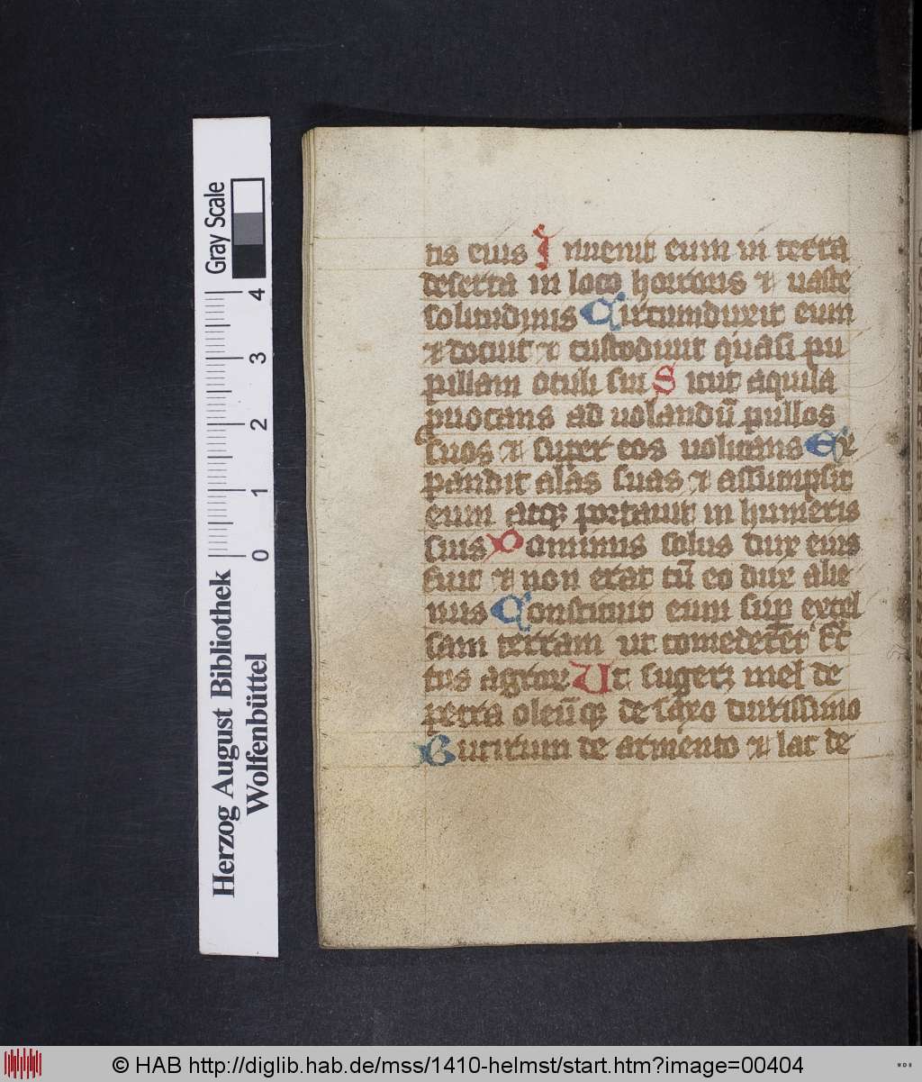 http://diglib.hab.de/mss/1410-helmst/00404.jpg