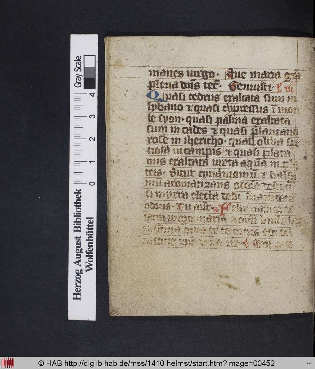 http://diglib.hab.de/mss/1410-helmst/00452.jpg