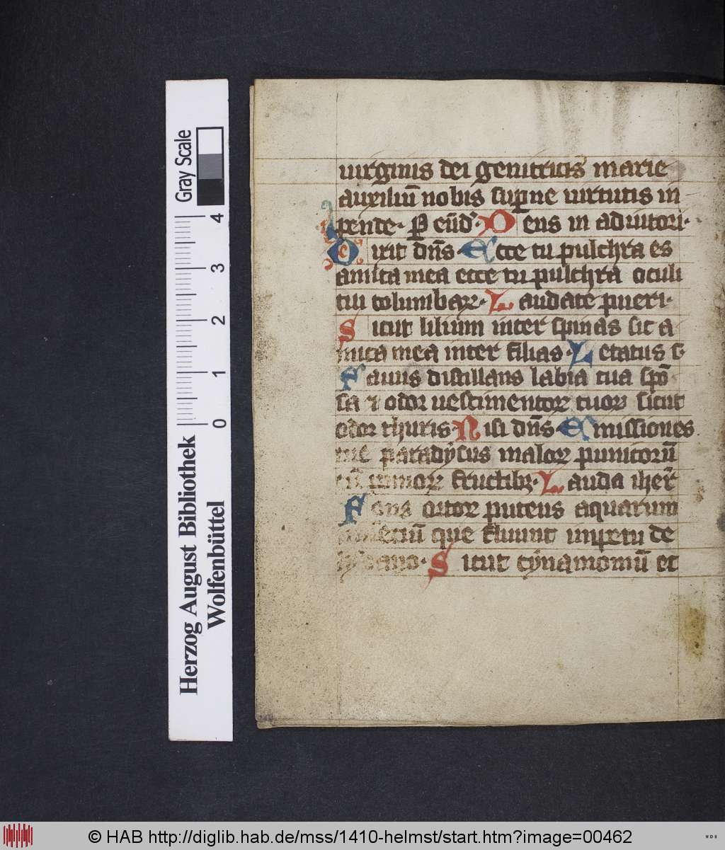 http://diglib.hab.de/mss/1410-helmst/00462.jpg