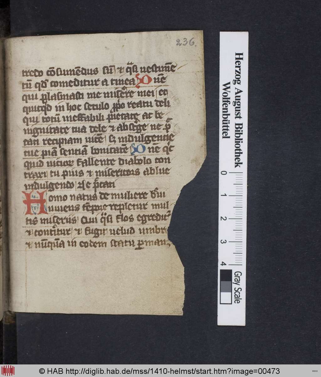 http://diglib.hab.de/mss/1410-helmst/00473.jpg