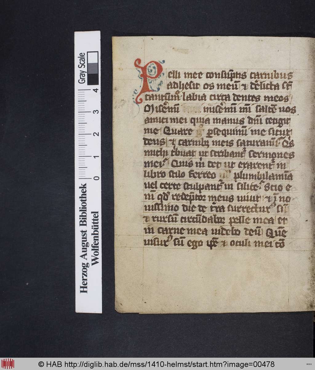 http://diglib.hab.de/mss/1410-helmst/00478.jpg