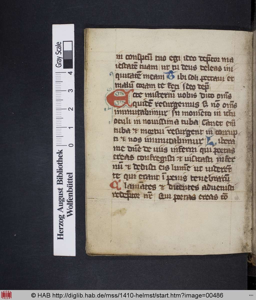 http://diglib.hab.de/mss/1410-helmst/00486.jpg
