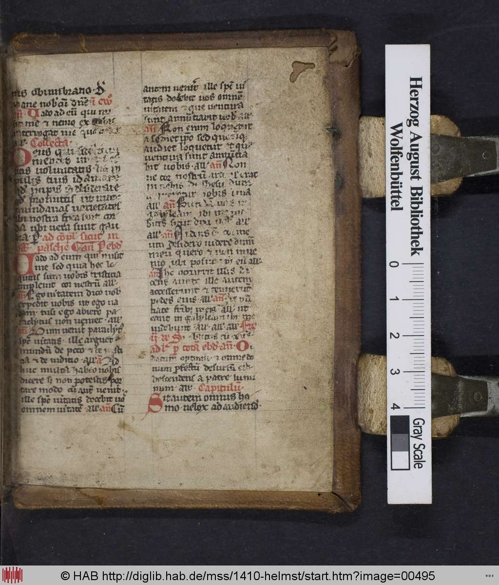 http://diglib.hab.de/mss/1410-helmst/00495.jpg