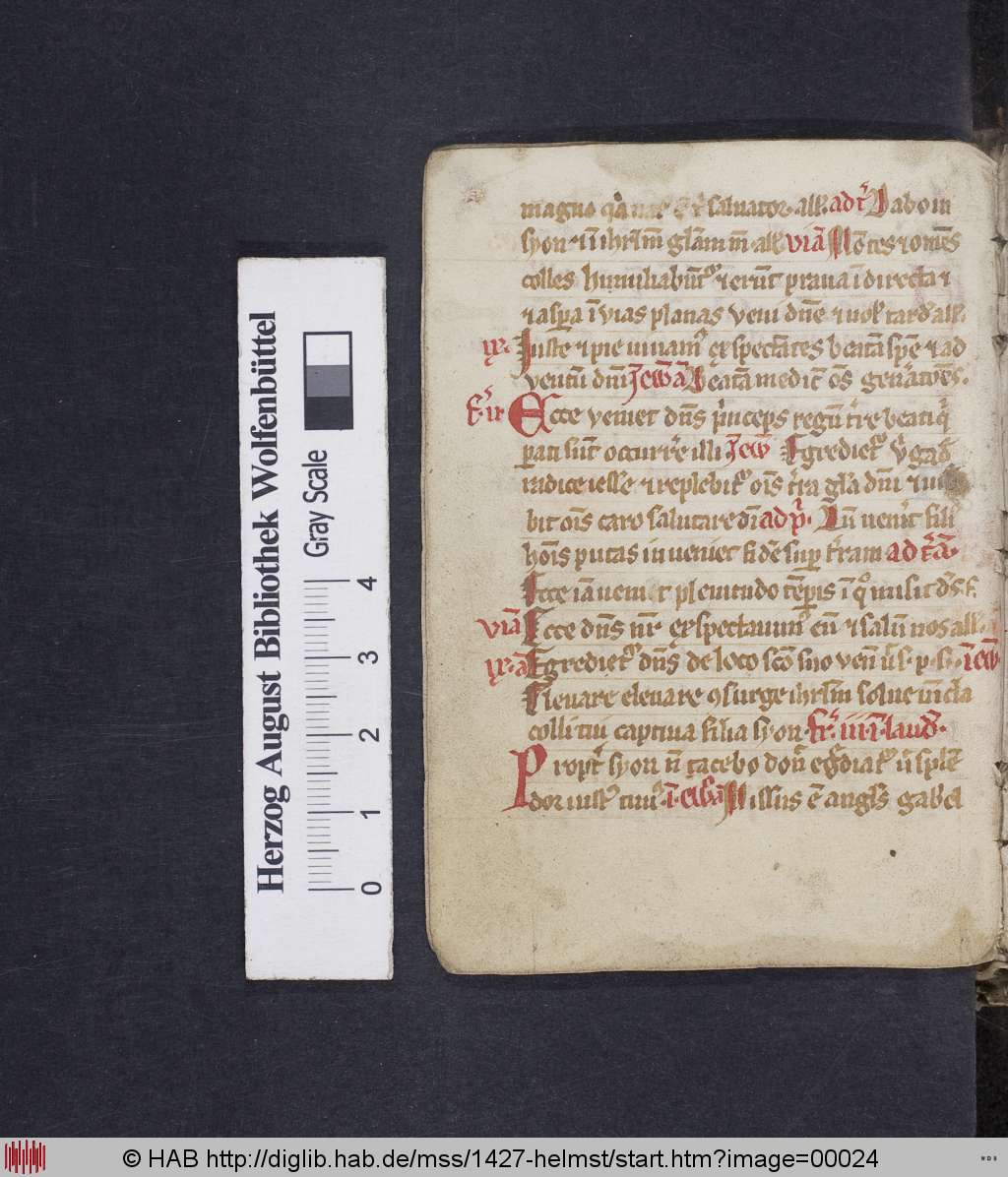 http://diglib.hab.de/mss/1427-helmst/00024.jpg