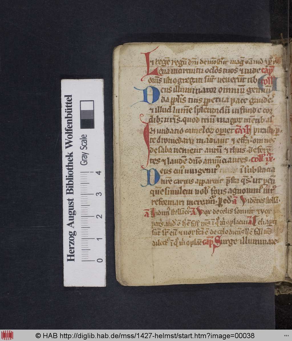 http://diglib.hab.de/mss/1427-helmst/00038.jpg