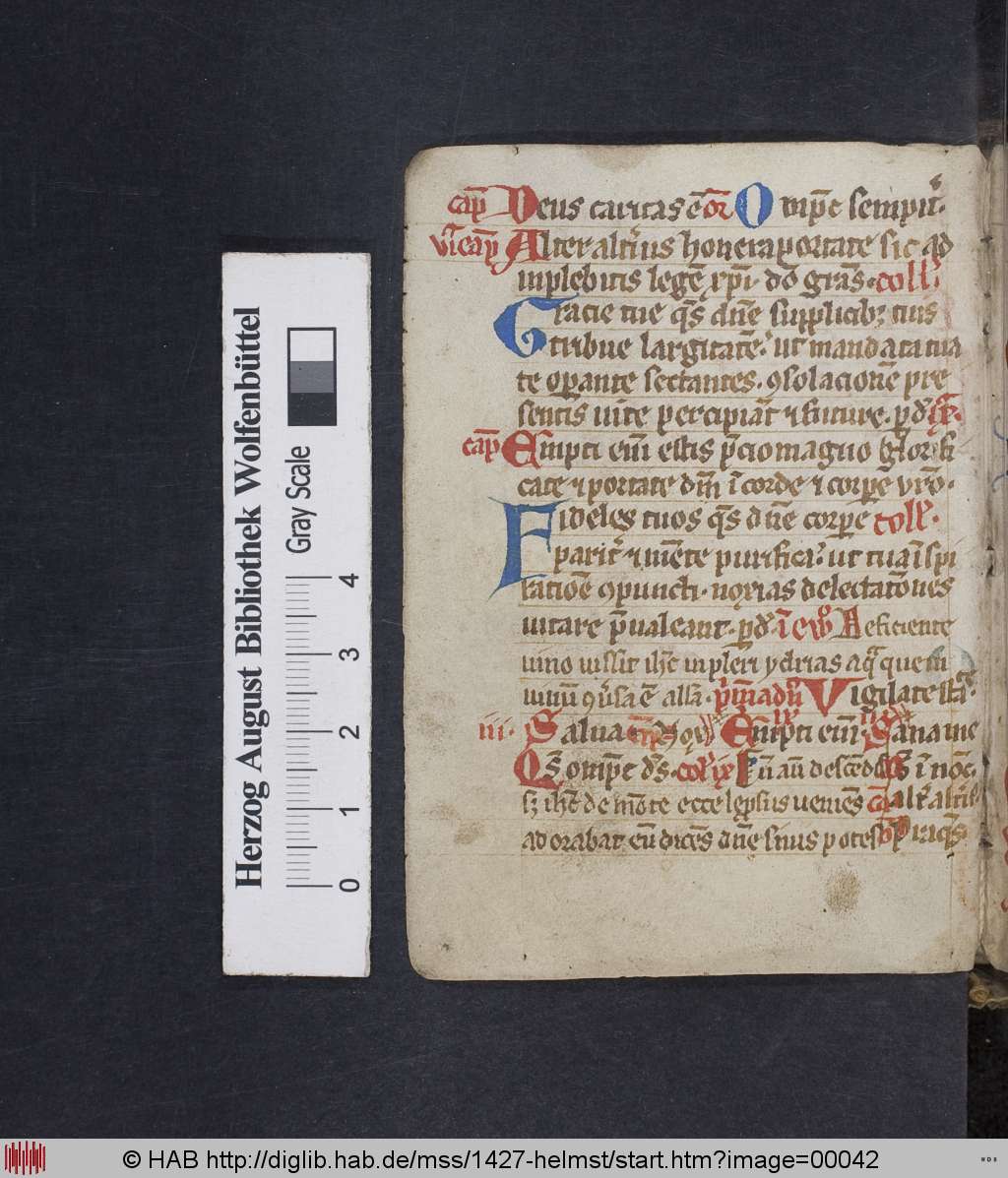 http://diglib.hab.de/mss/1427-helmst/00042.jpg