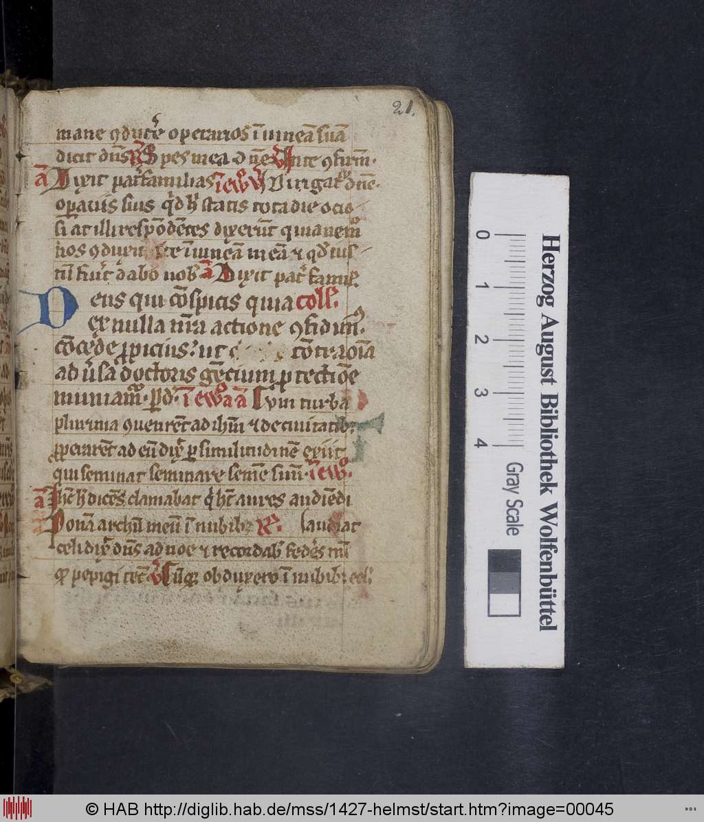 http://diglib.hab.de/mss/1427-helmst/00045.jpg