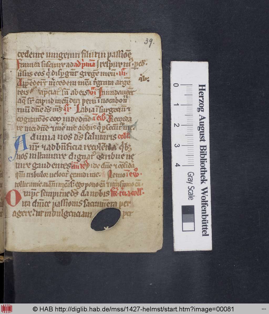 http://diglib.hab.de/mss/1427-helmst/00081.jpg