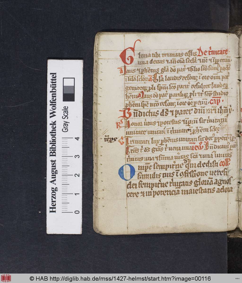 http://diglib.hab.de/mss/1427-helmst/00116.jpg