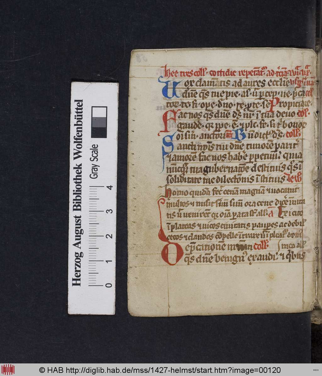 http://diglib.hab.de/mss/1427-helmst/00120.jpg