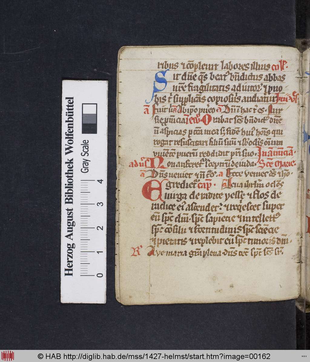 http://diglib.hab.de/mss/1427-helmst/00162.jpg