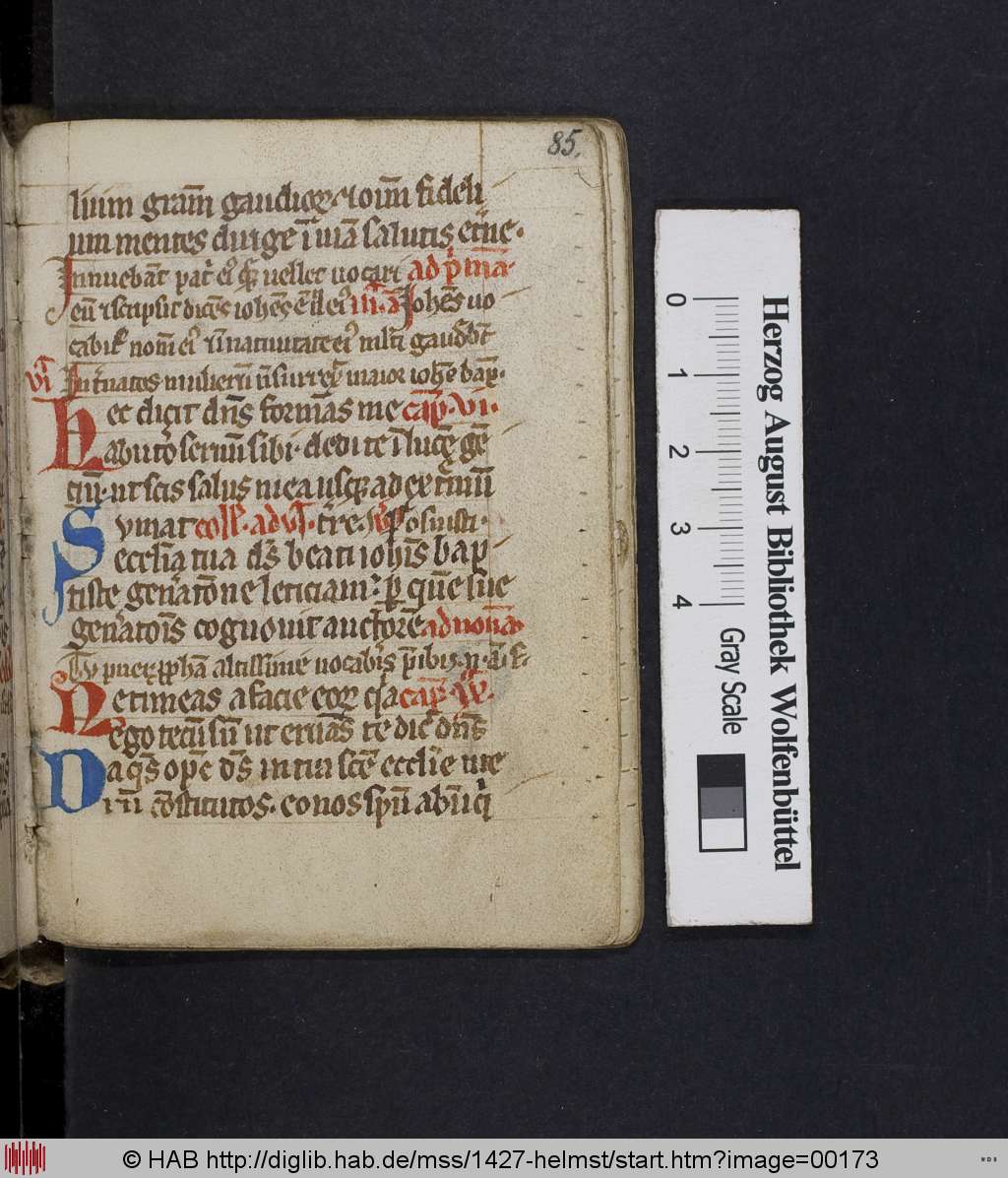 http://diglib.hab.de/mss/1427-helmst/00173.jpg