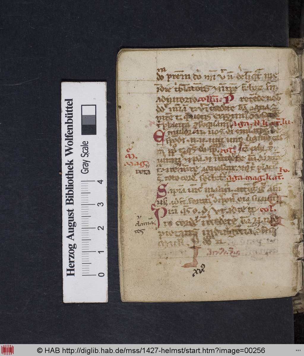 http://diglib.hab.de/mss/1427-helmst/00256.jpg