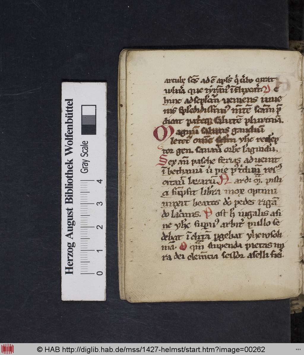 http://diglib.hab.de/mss/1427-helmst/00262.jpg