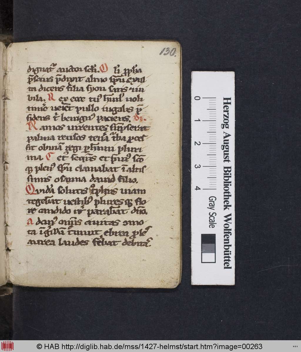 http://diglib.hab.de/mss/1427-helmst/00263.jpg