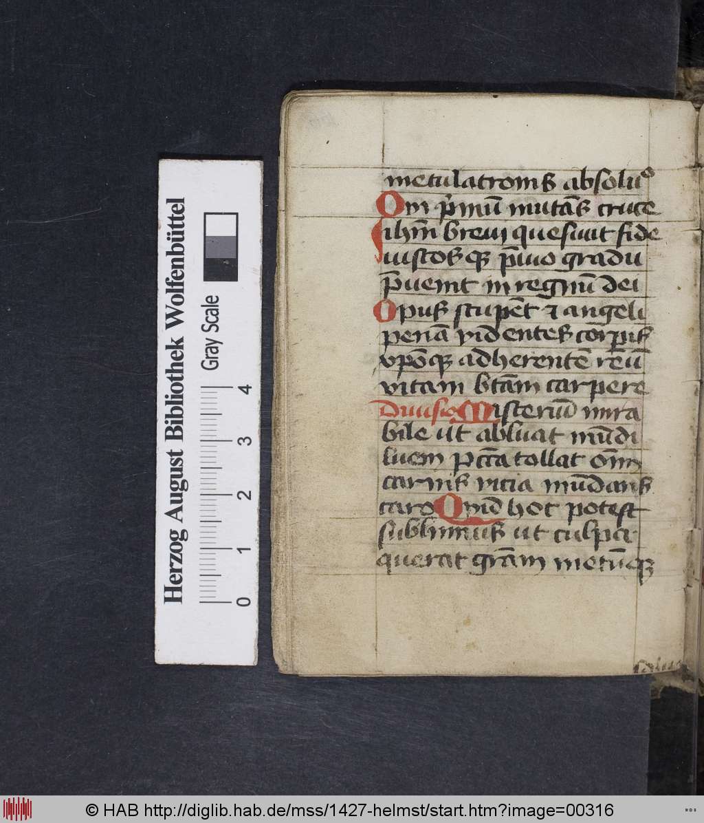 http://diglib.hab.de/mss/1427-helmst/00316.jpg