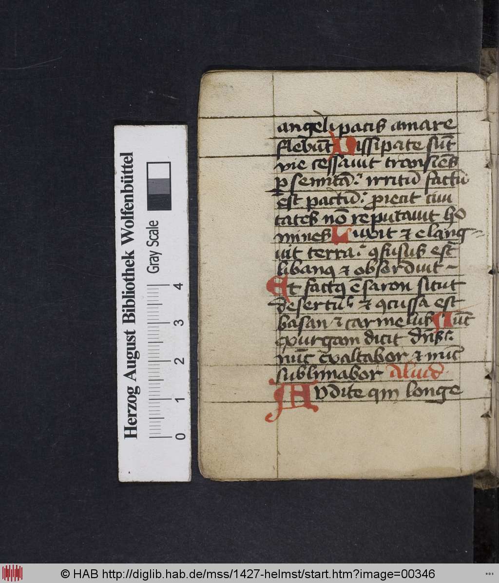 http://diglib.hab.de/mss/1427-helmst/00346.jpg