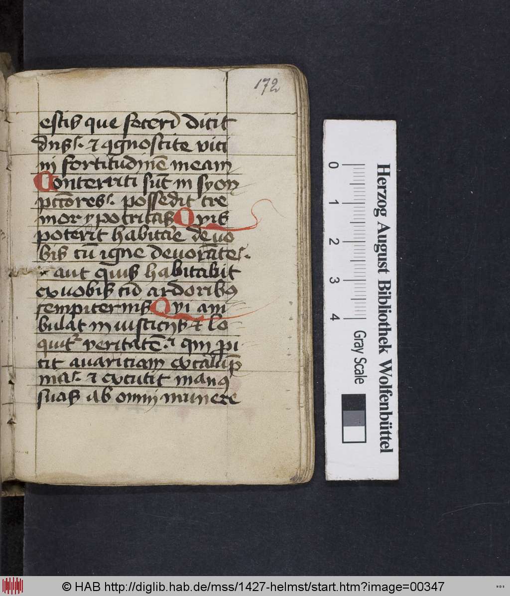 http://diglib.hab.de/mss/1427-helmst/00347.jpg