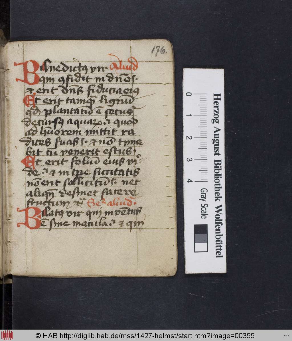 http://diglib.hab.de/mss/1427-helmst/00355.jpg