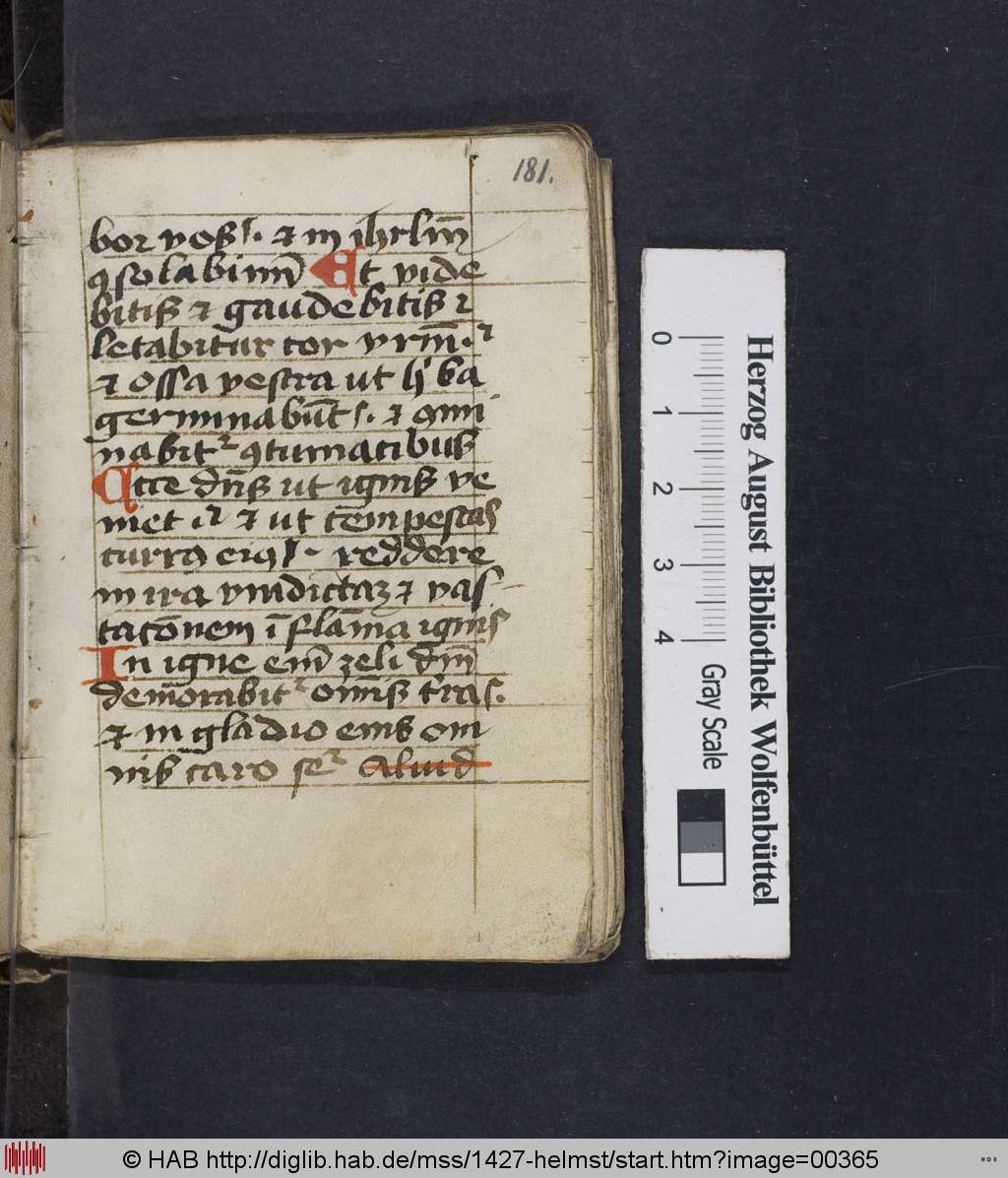 http://diglib.hab.de/mss/1427-helmst/00365.jpg