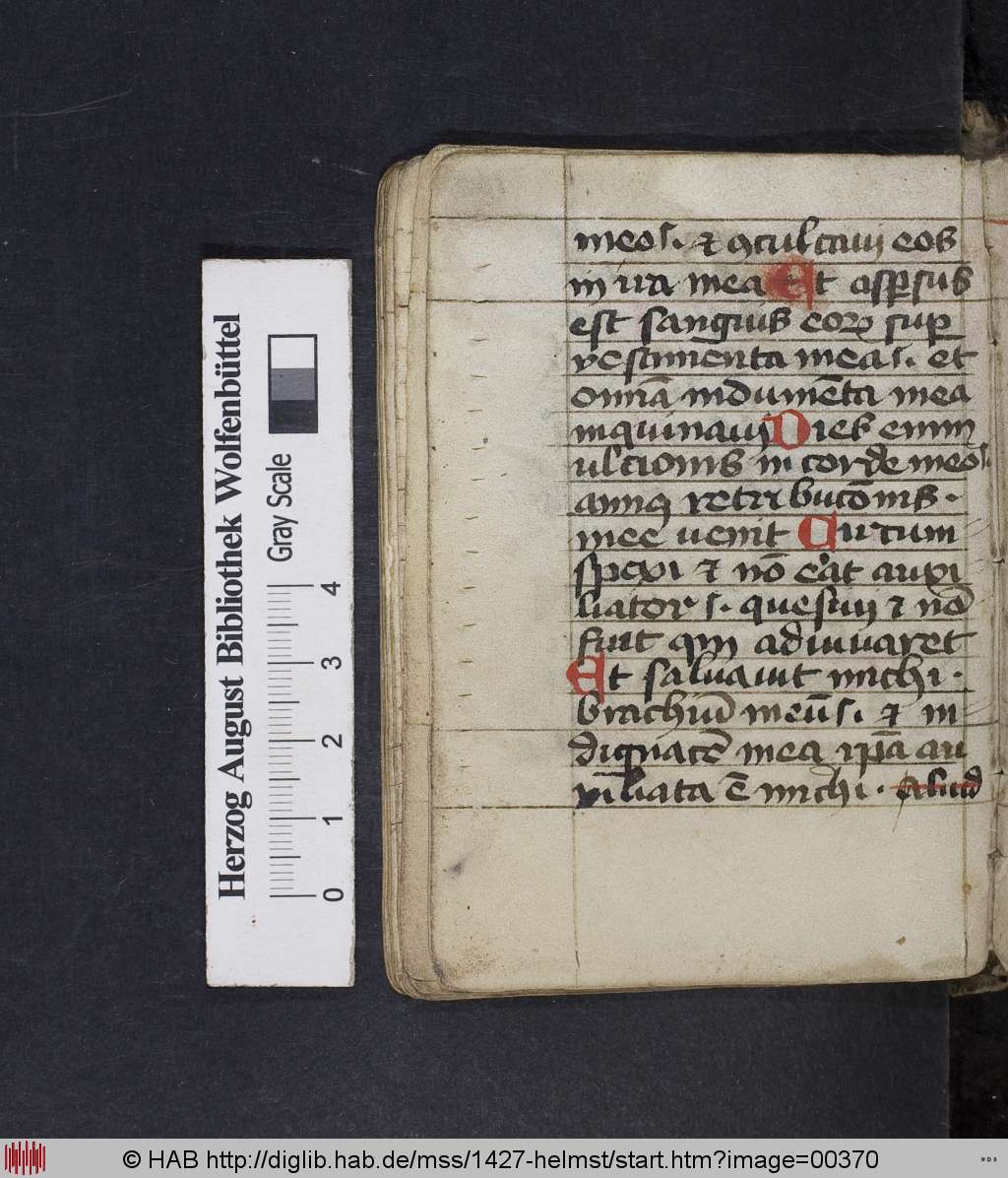 http://diglib.hab.de/mss/1427-helmst/00370.jpg
