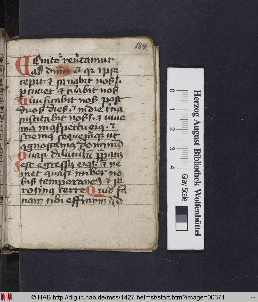 http://diglib.hab.de/mss/1427-helmst/00371.jpg