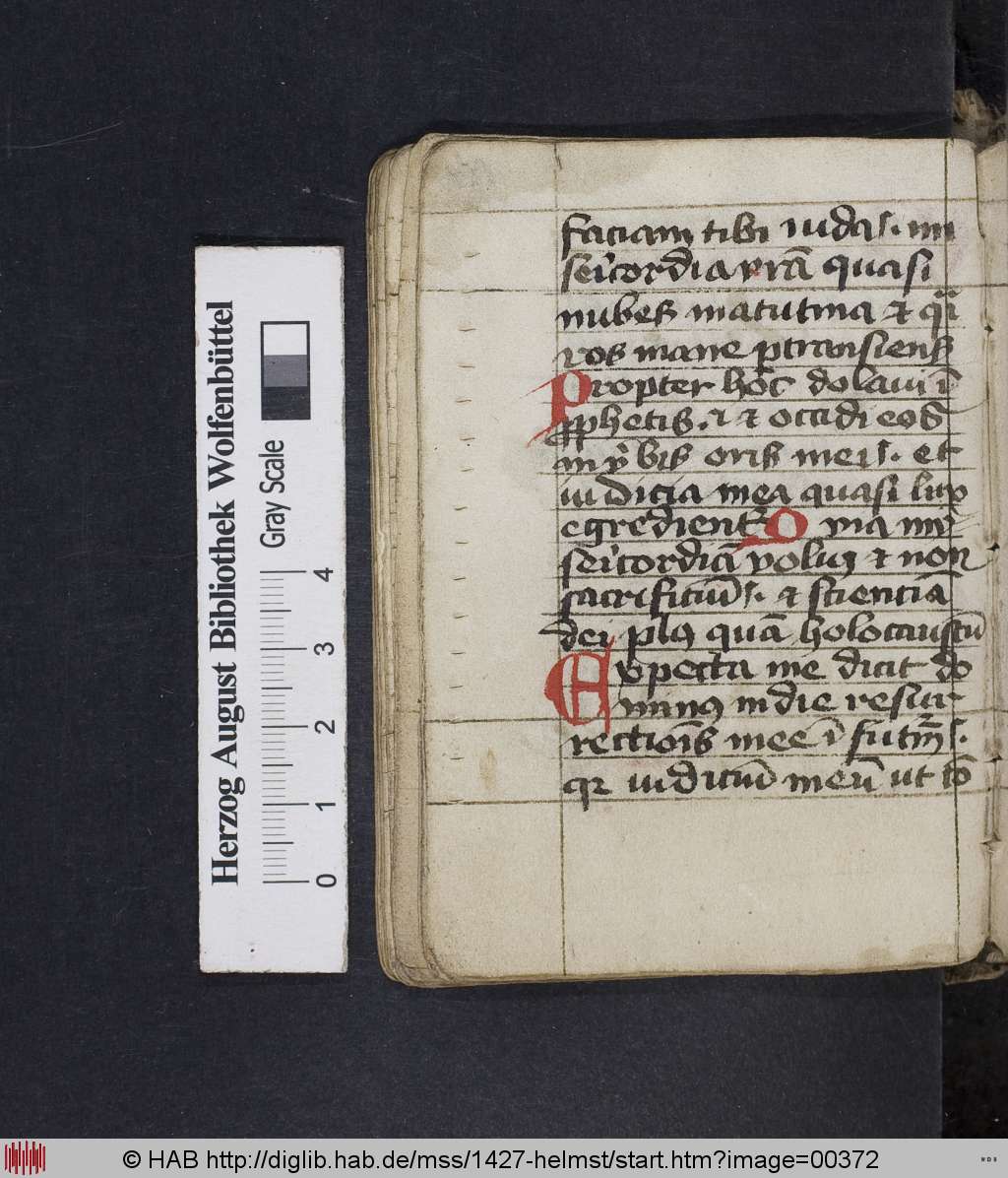 http://diglib.hab.de/mss/1427-helmst/00372.jpg