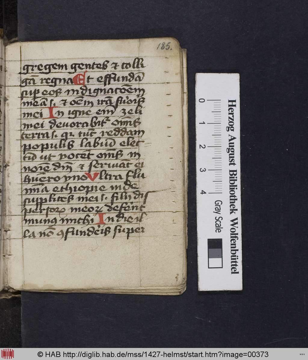http://diglib.hab.de/mss/1427-helmst/00373.jpg