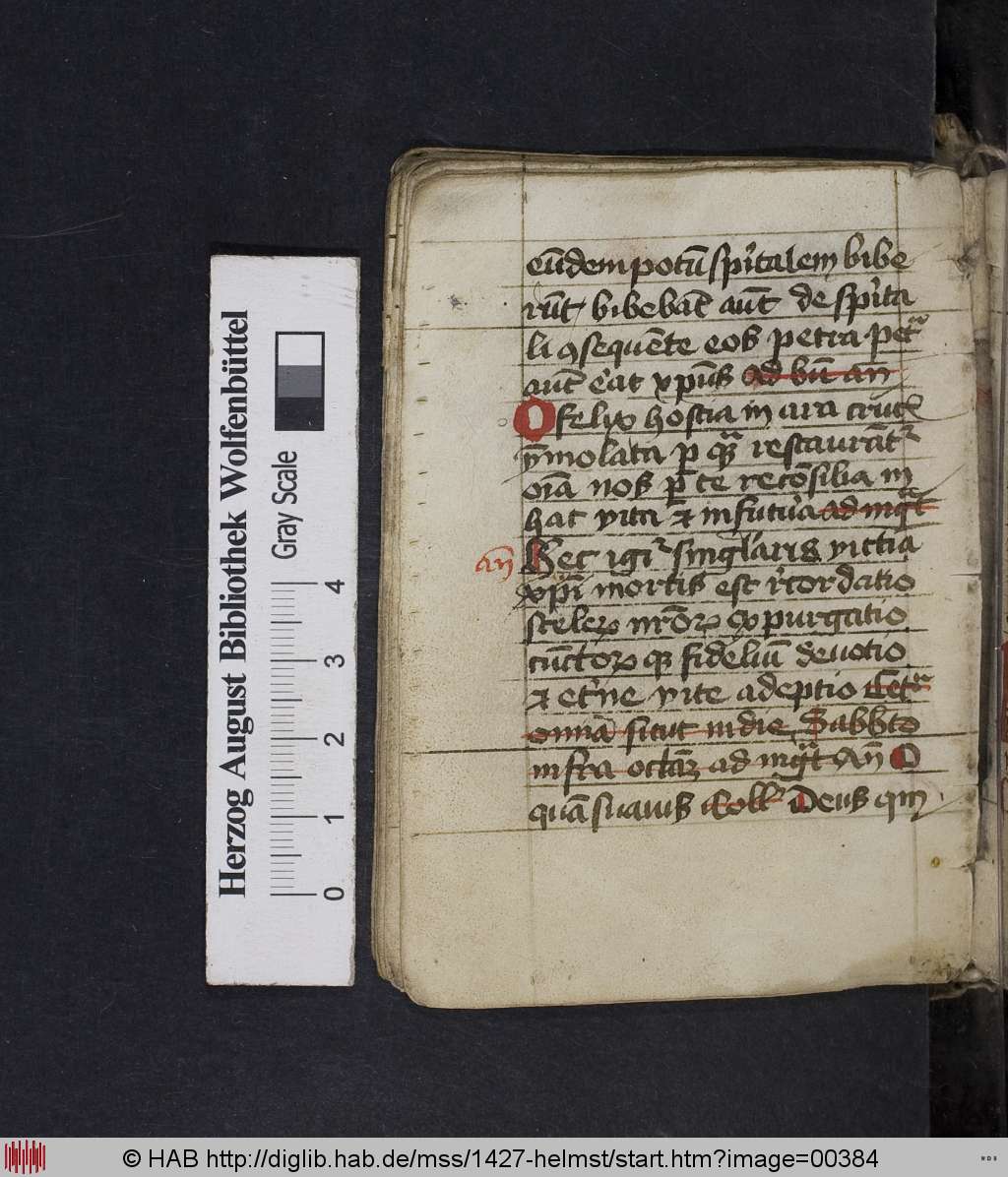http://diglib.hab.de/mss/1427-helmst/00384.jpg