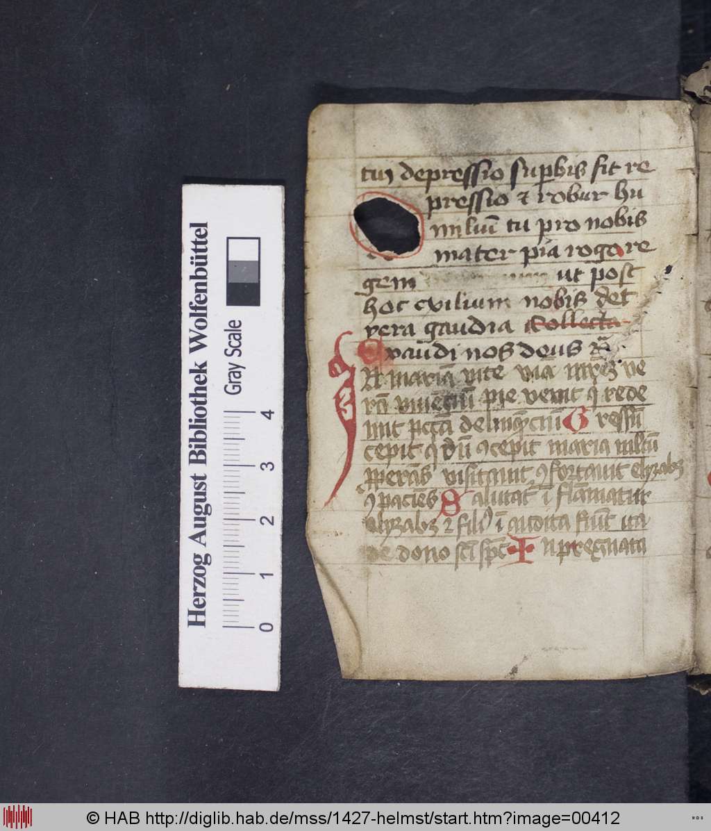 http://diglib.hab.de/mss/1427-helmst/00412.jpg