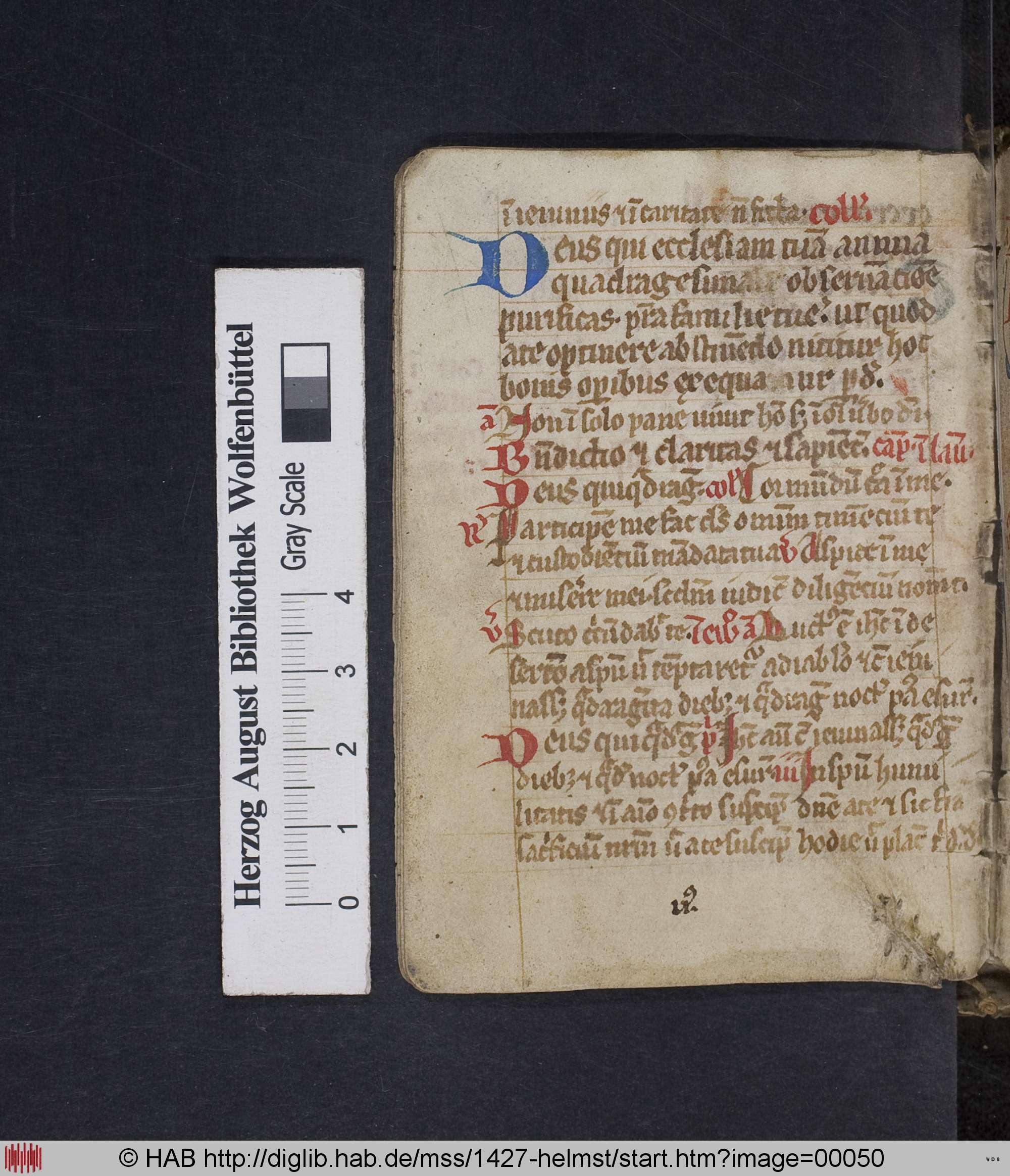 http://diglib.hab.de/mss/1427-helmst/max/00050.jpg