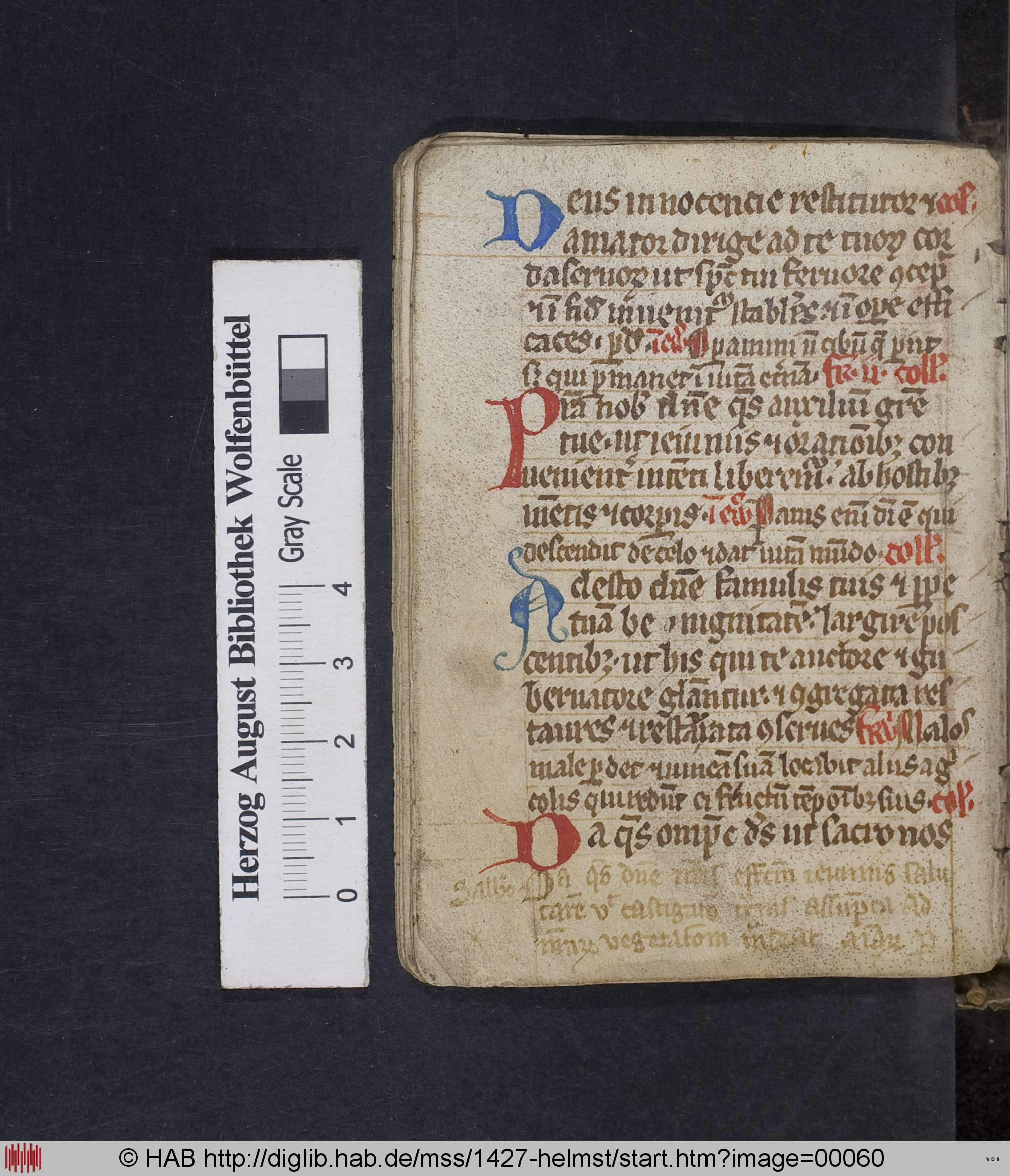 http://diglib.hab.de/mss/1427-helmst/max/00060.jpg