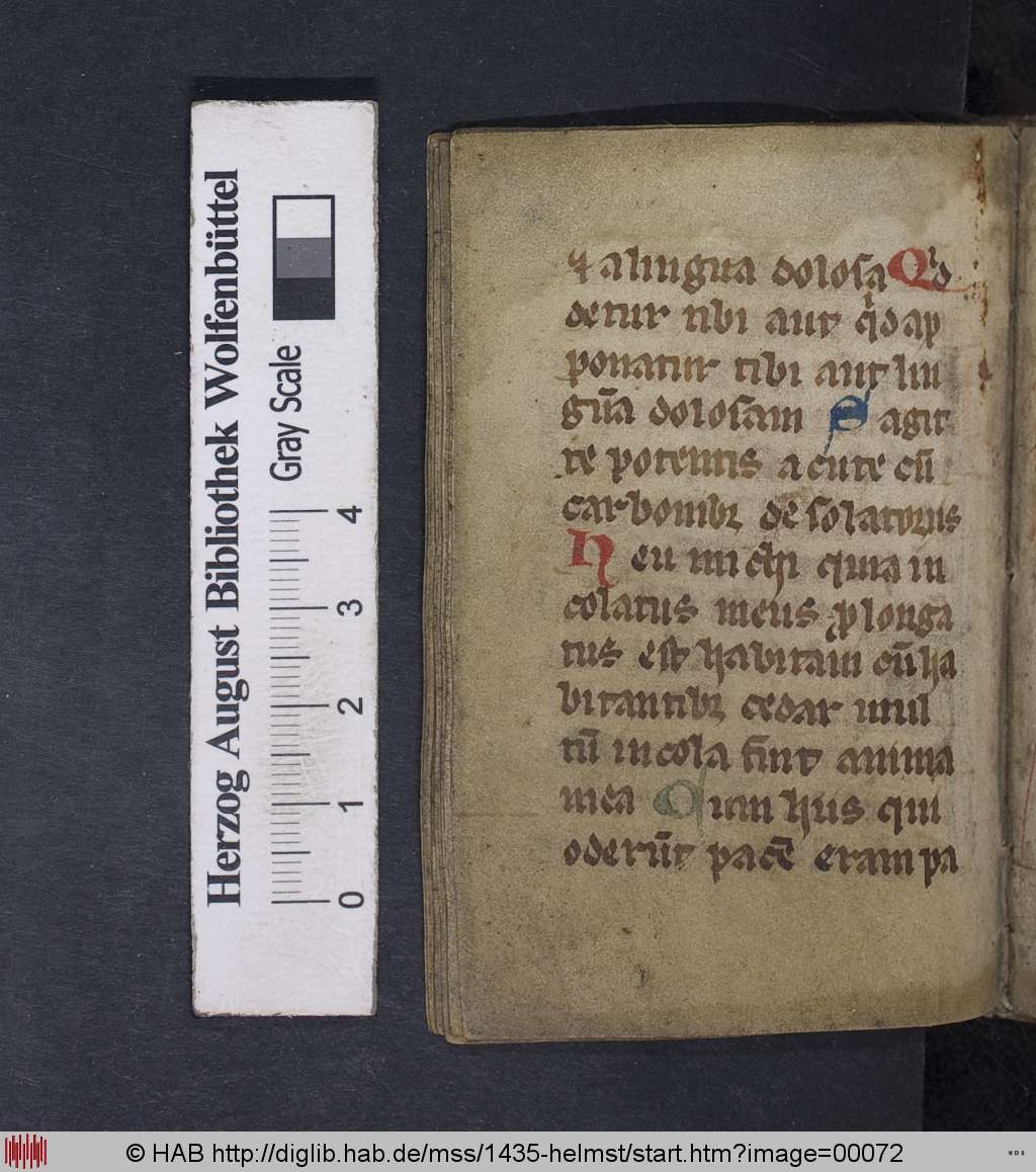 http://diglib.hab.de/mss/1435-helmst/00072.jpg