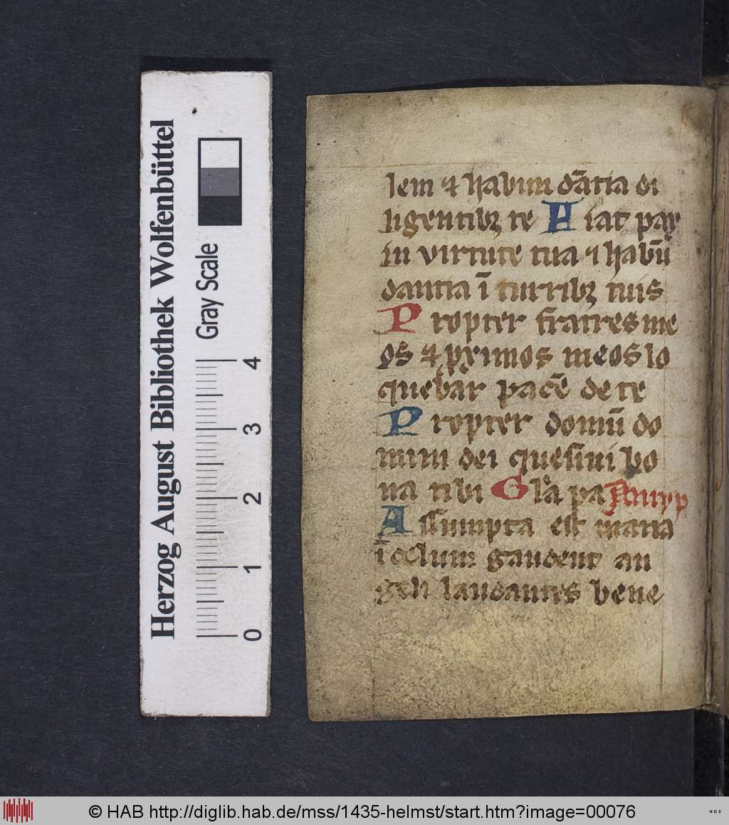 http://diglib.hab.de/mss/1435-helmst/00076.jpg