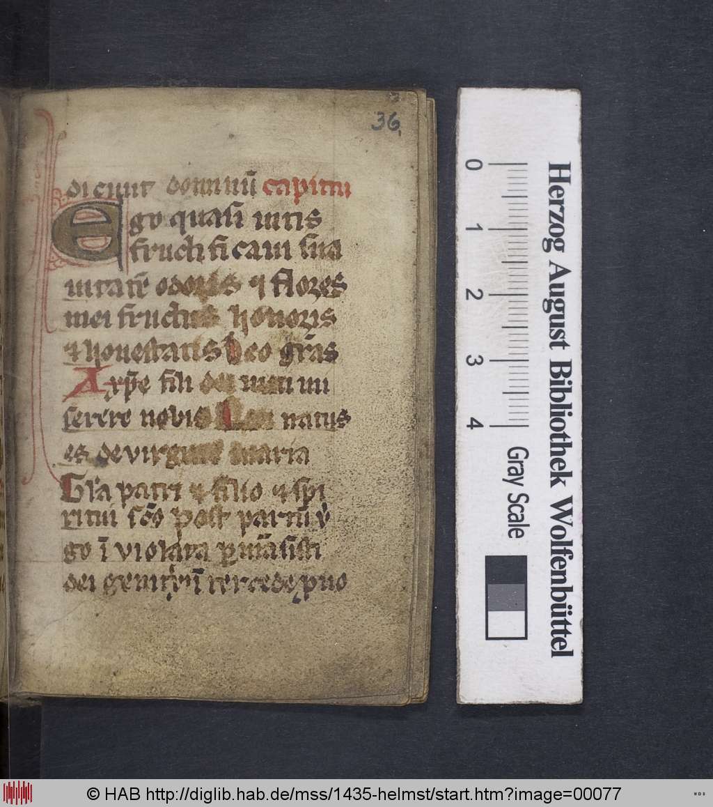 http://diglib.hab.de/mss/1435-helmst/00077.jpg