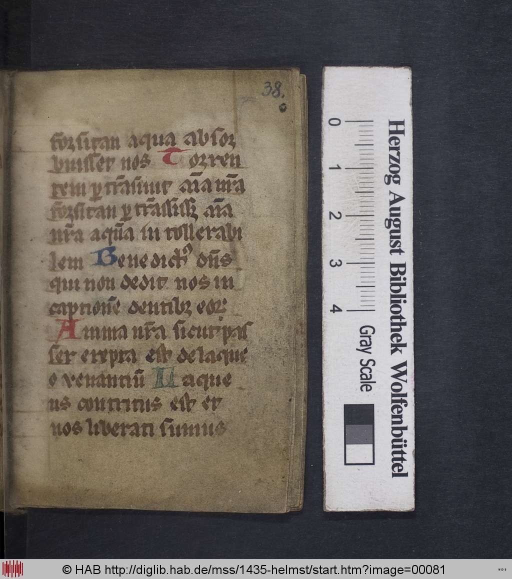 http://diglib.hab.de/mss/1435-helmst/00081.jpg