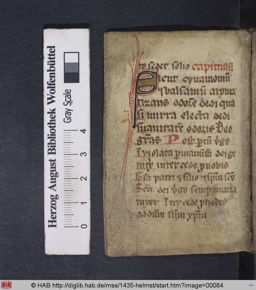 http://diglib.hab.de/mss/1435-helmst/00084.jpg