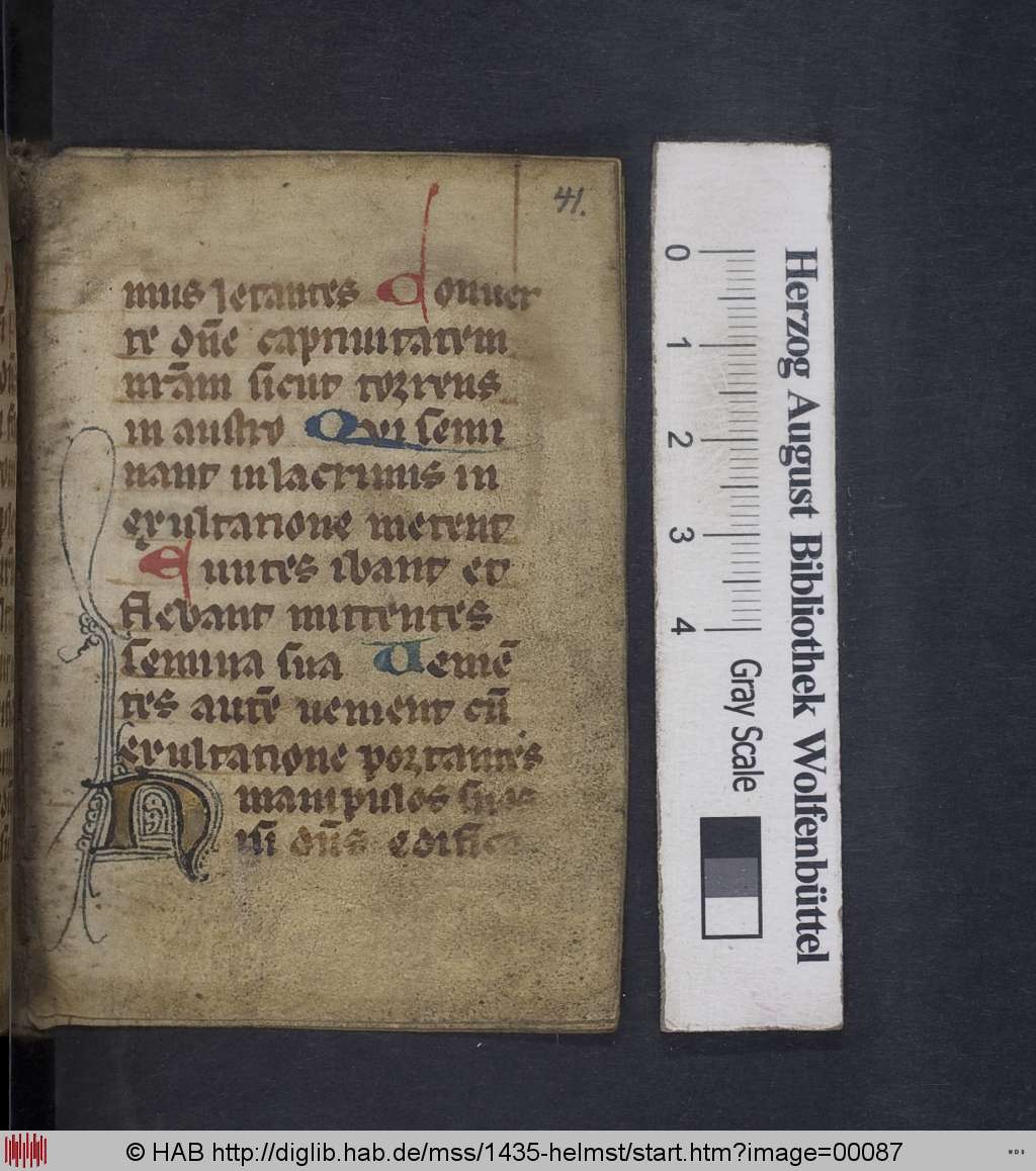 http://diglib.hab.de/mss/1435-helmst/00087.jpg