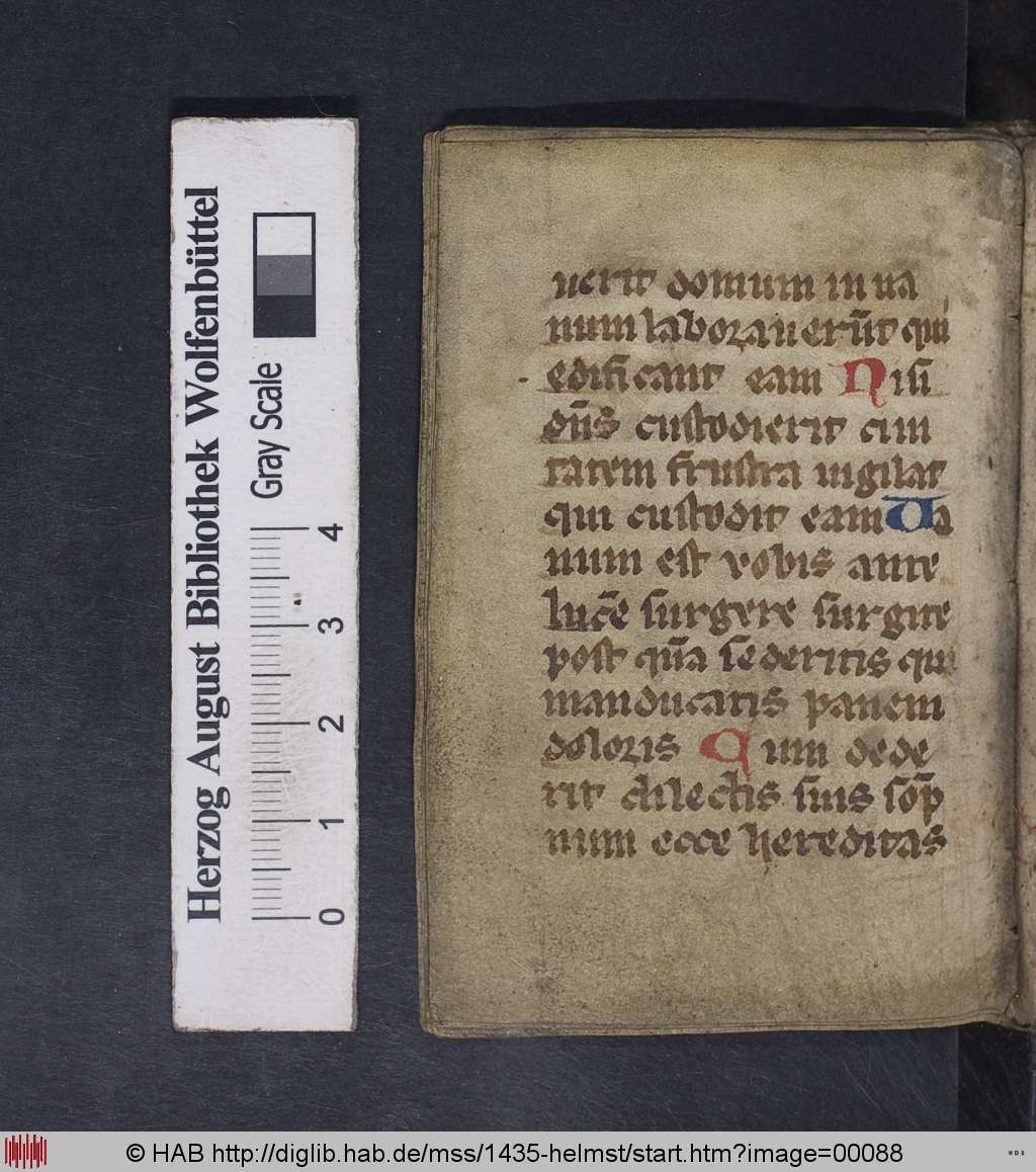 http://diglib.hab.de/mss/1435-helmst/00088.jpg