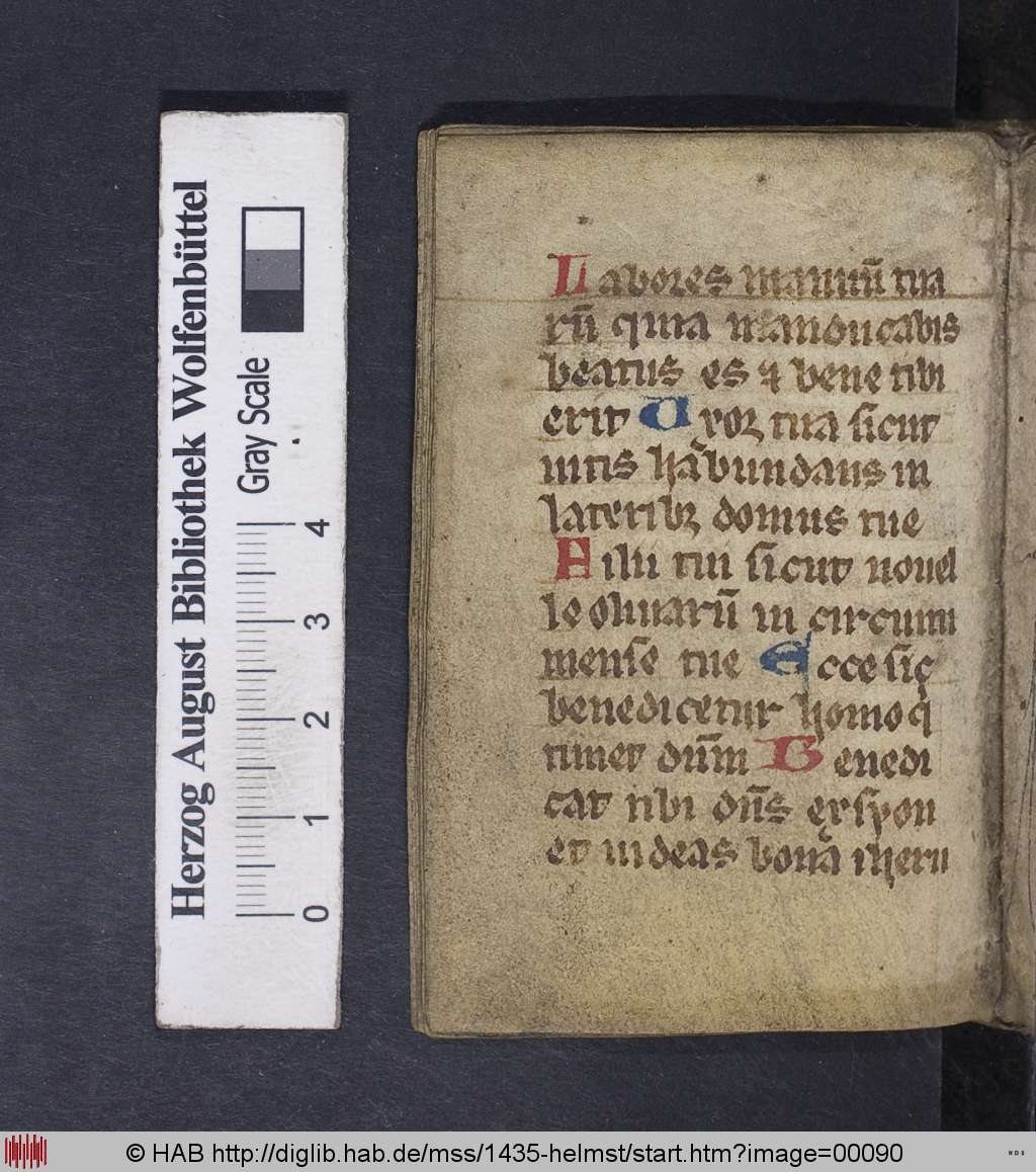http://diglib.hab.de/mss/1435-helmst/00090.jpg