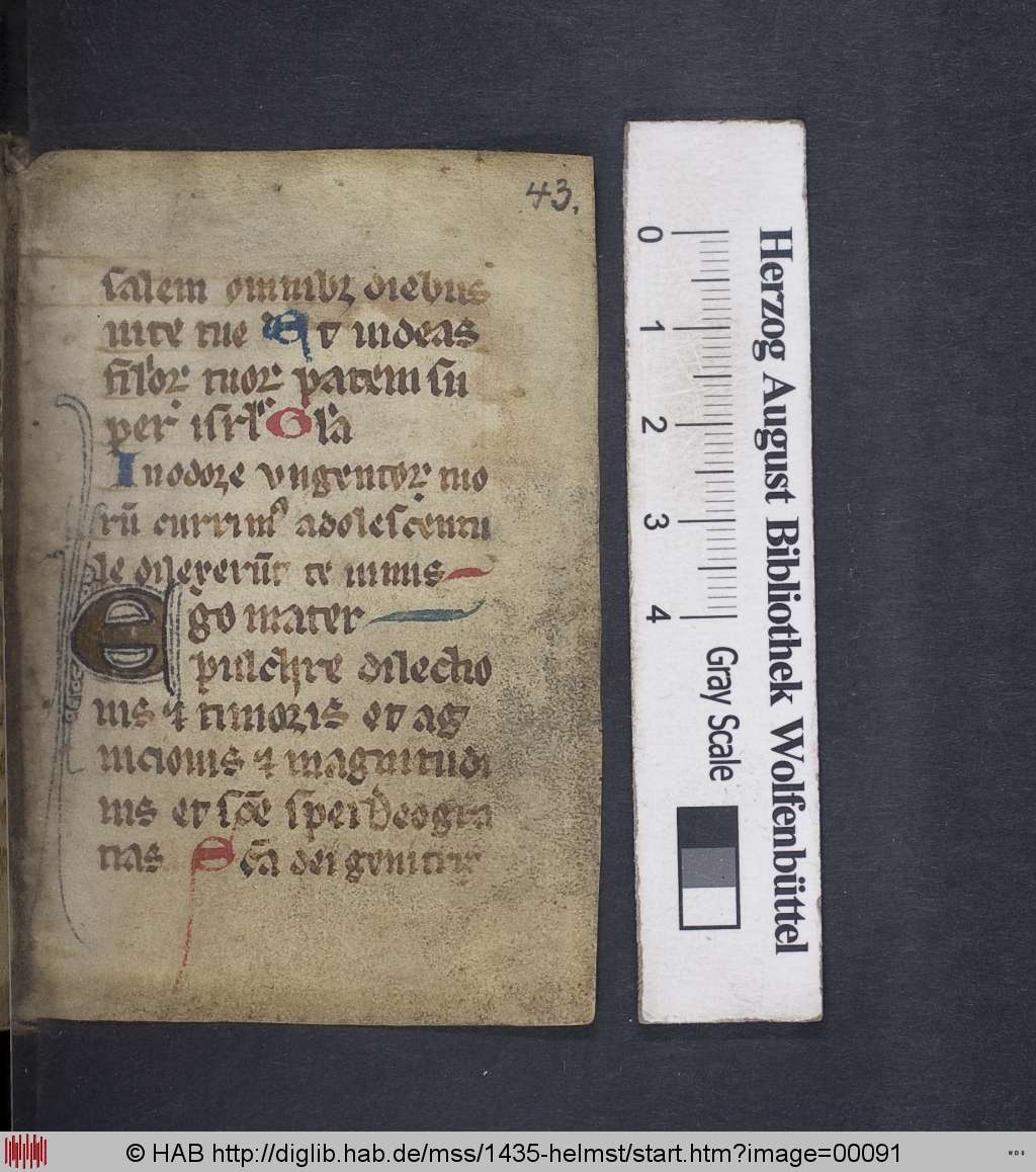 http://diglib.hab.de/mss/1435-helmst/00091.jpg