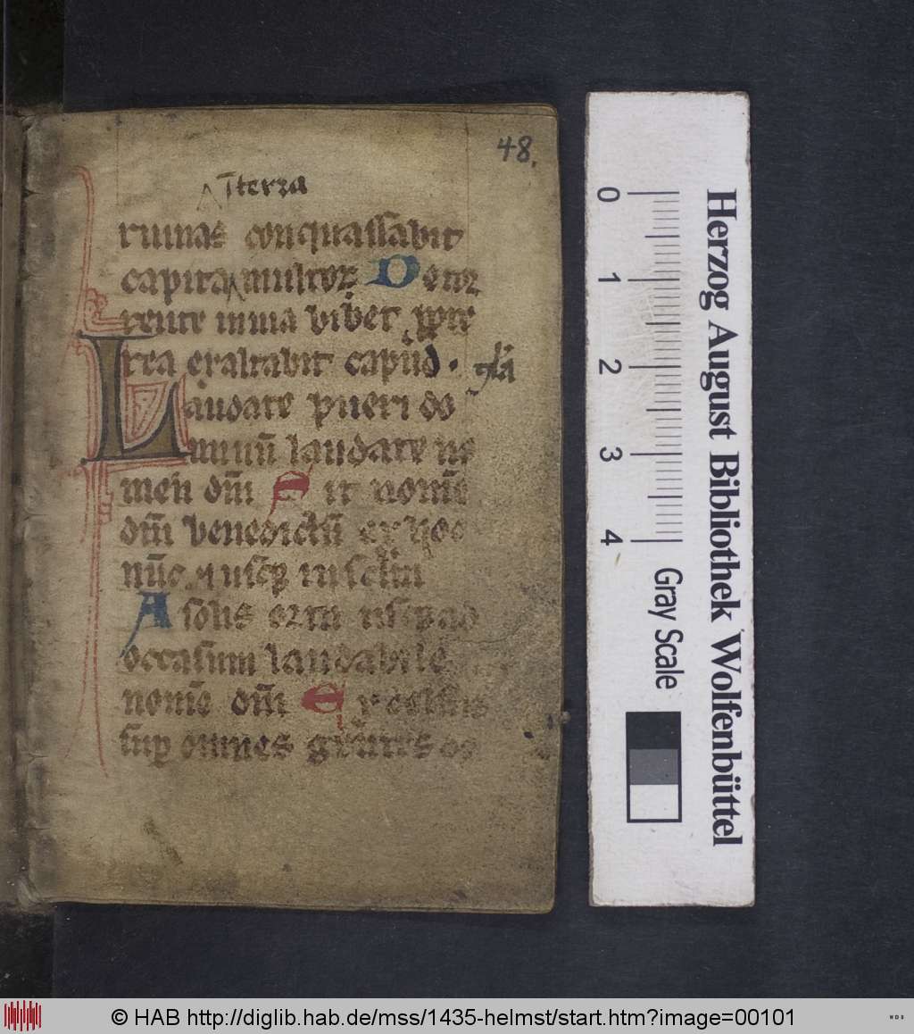 http://diglib.hab.de/mss/1435-helmst/00101.jpg